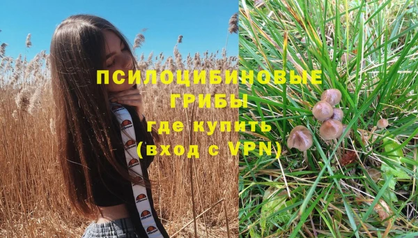 метадон Алексин