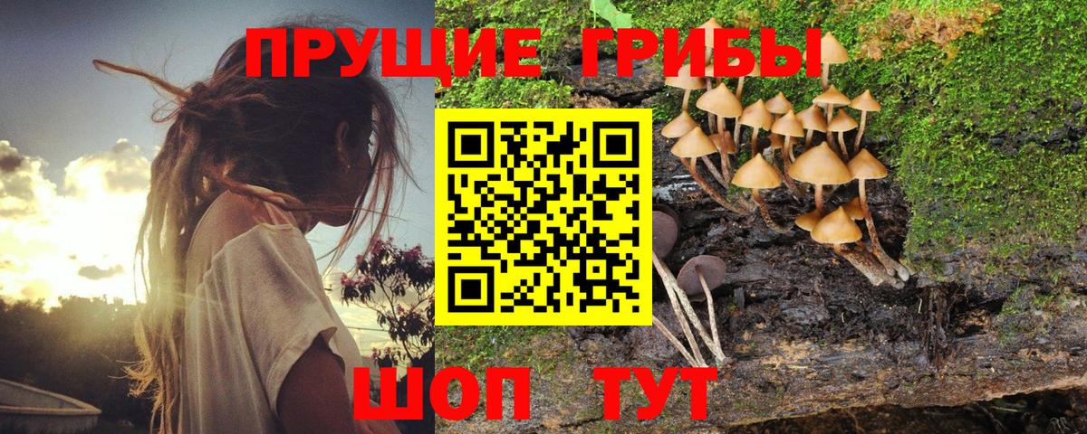 Псилоцибиновые грибы MAGIC MUSHROOMS  Вход с VPN  Псилоцибиновые грибы Magic Shrooms  Балабаново 