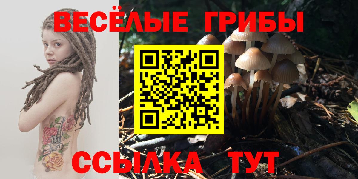 Галлюциногенные грибы Magic Shrooms Балабаново